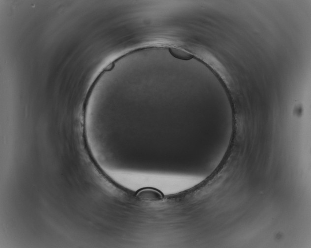 X0000101671428200808071034