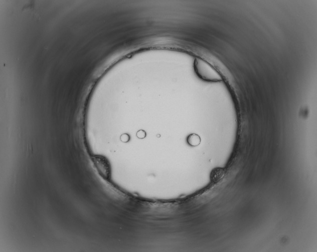 X0000101671429200808071034