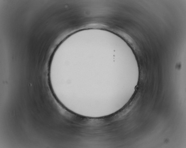 X0000101671430200808071034