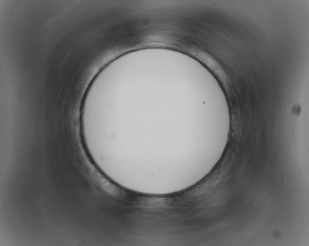 X0000101671431200808071034