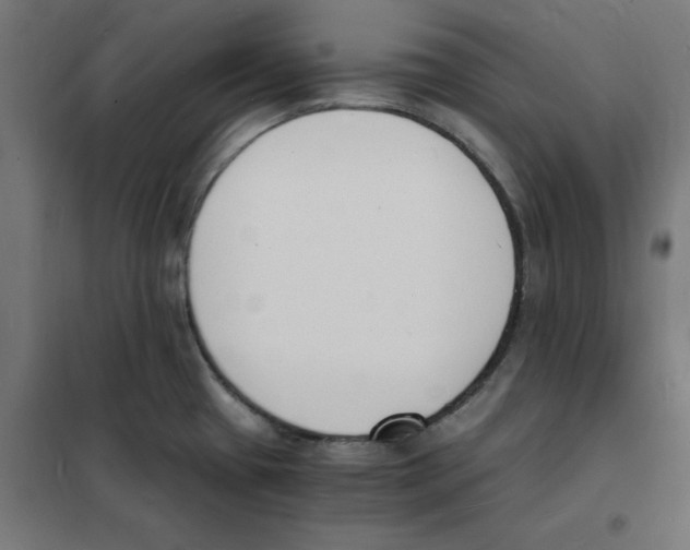 X0000101671433200808071034