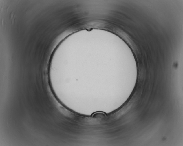 X0000101671434200808071034