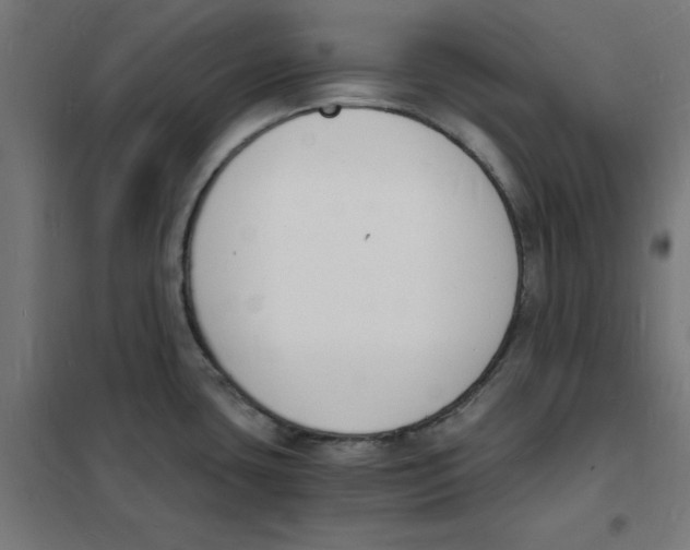 X0000101671435200808071034