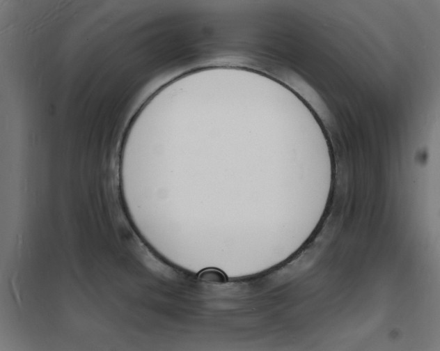X0000101671436200808071034