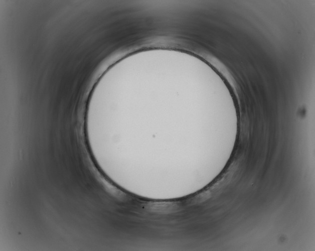 X0000101671437200808071034