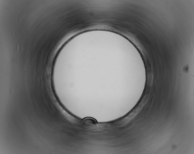 X0000101671438200808071034