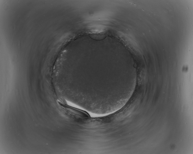 X0000101671441200808071033