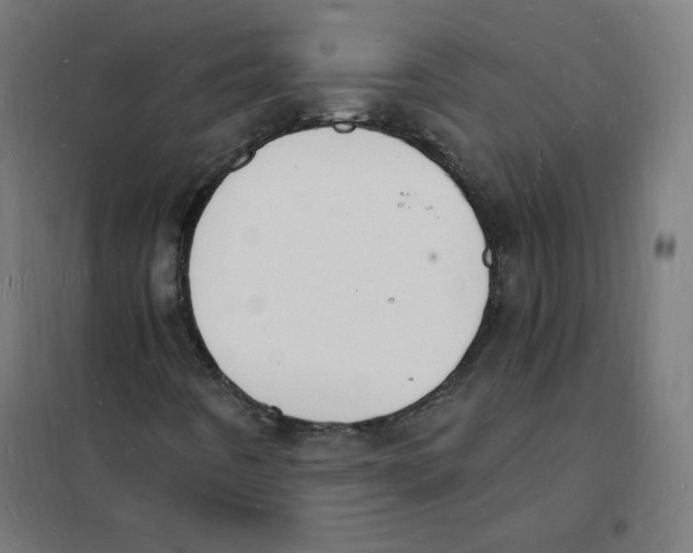 X0000101671442200808071033