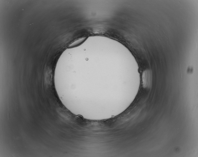 X0000101671443200808071033
