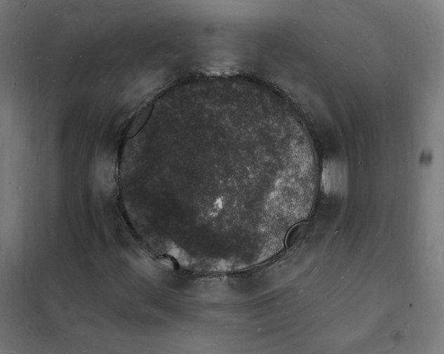 X0000101671444200808071033
