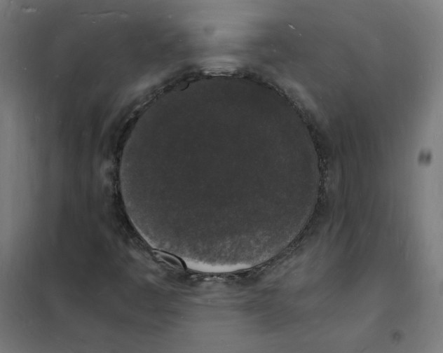 X0000101671445200808071033