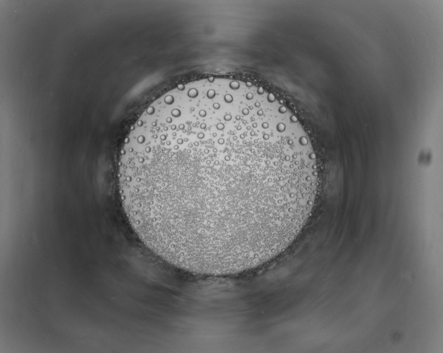 X0000101671446200808071033