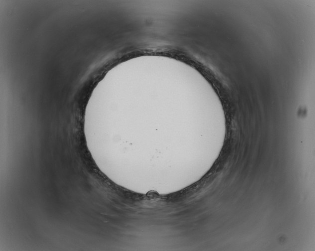 X0000101671447200808071033