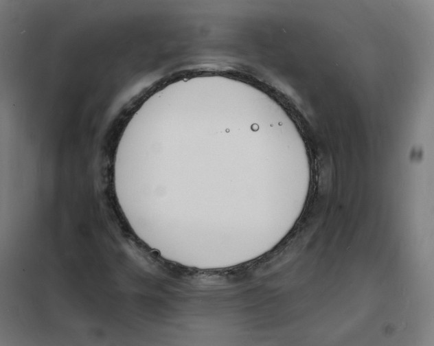 X0000101671448200808071033