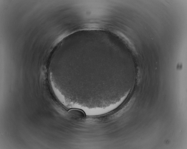 X0000101671449200808071033