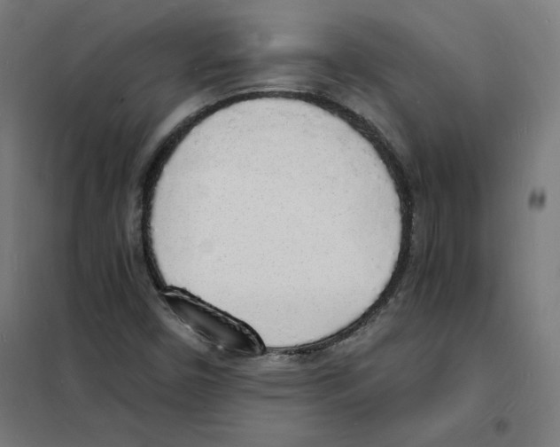 X0000101671450200808071033