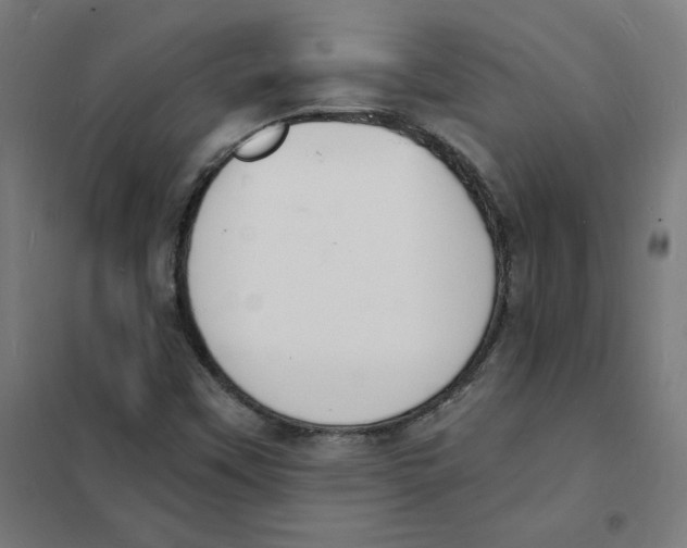 X0000101671451200808071033