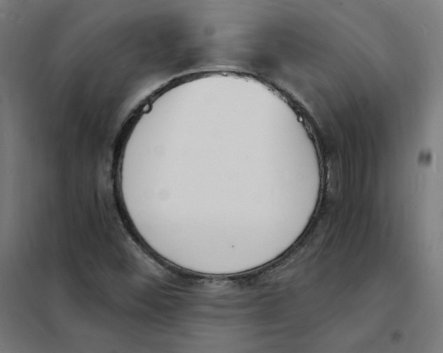 X0000101671452200808071033