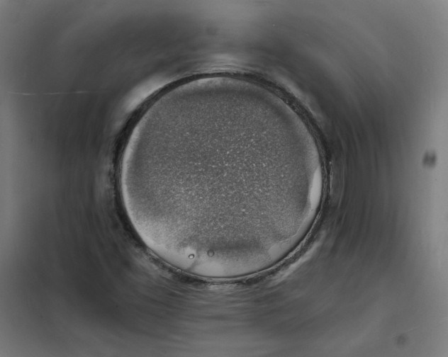 X0000101671453200808071033