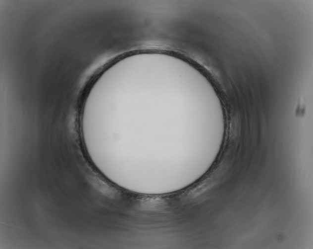 X0000101671454200808071033