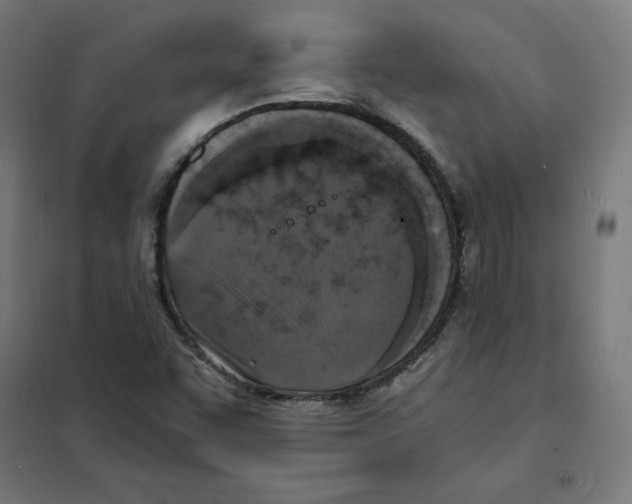 X0000101671455200808071033