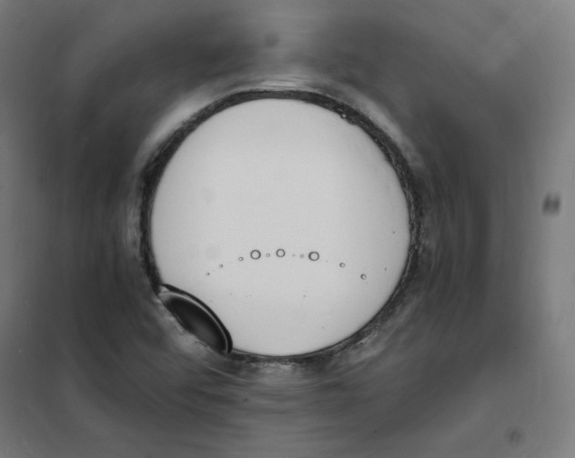 X0000101671456200808071033