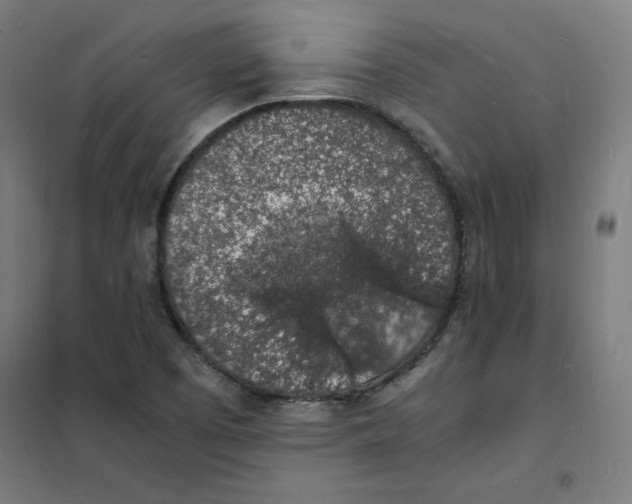 X0000101671457200808071033
