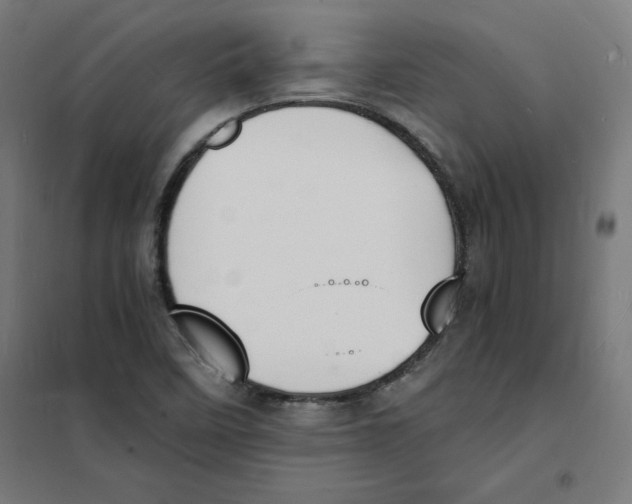 X0000101671458200808071033