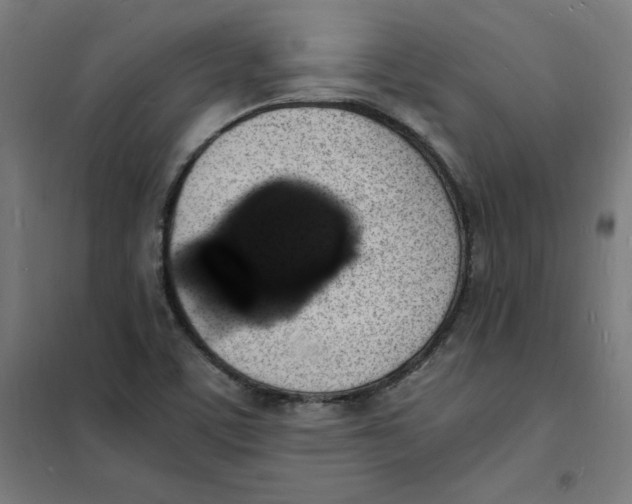 X0000101671459200808071033