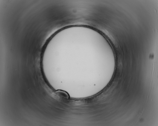 X0000101671460200808071033