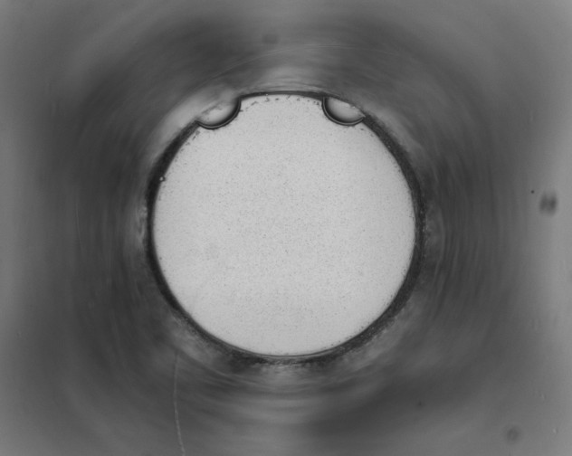 X0000101671461200808071033