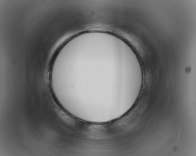 X0000101671462200808071033