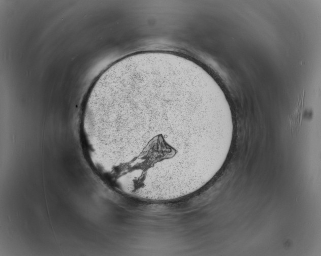 X0000101671463200808071033