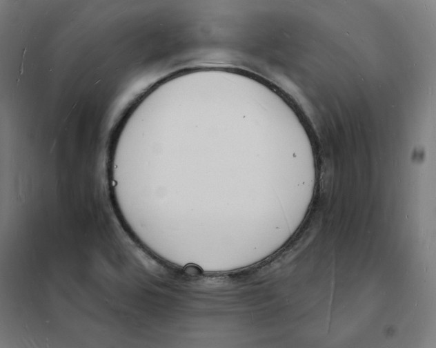 X0000101671464200808071033