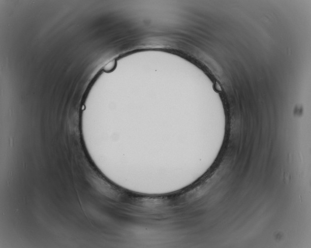 X0000101671465200808071033