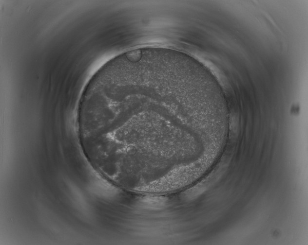 X0000101671466200808071033