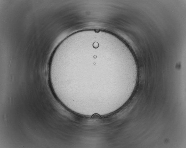 X0000101671467200808071033