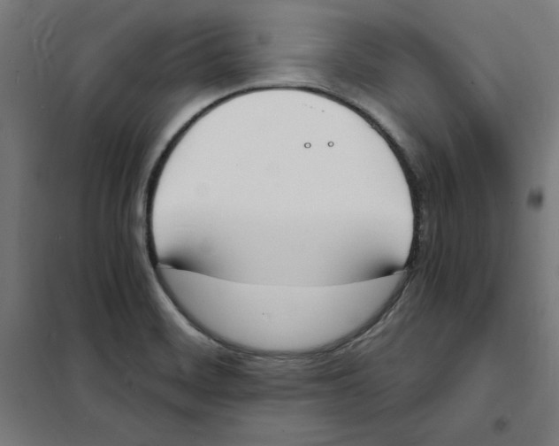 X0000101671468200808071033
