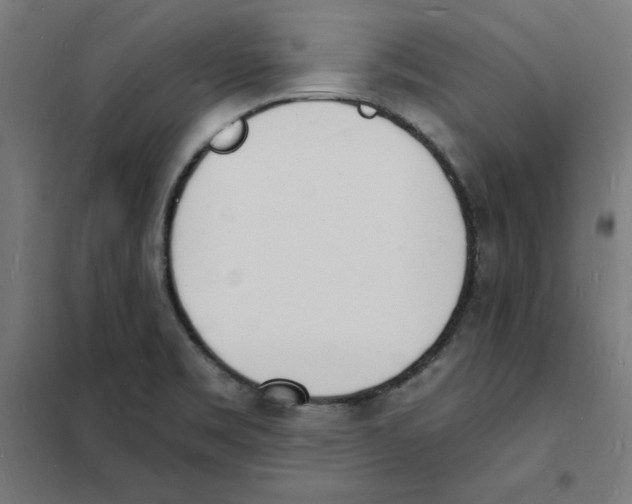 X0000101671469200808071033