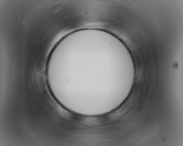 X0000101671470200808071033