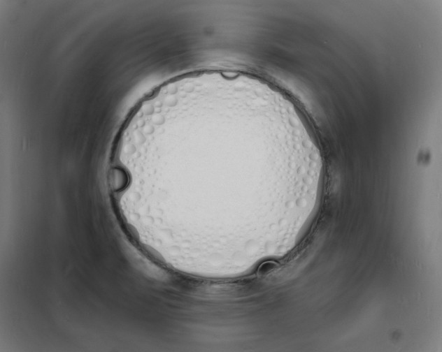 X0000101671471200808071033
