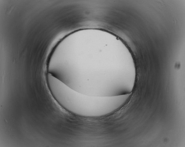 X0000101671472200808071033