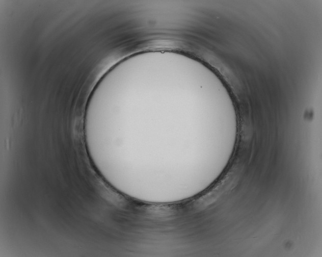 X0000101671473200808071033