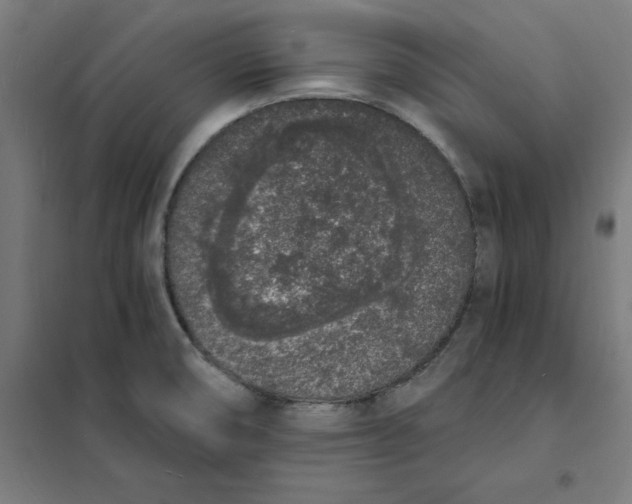 X0000101671474200808071033
