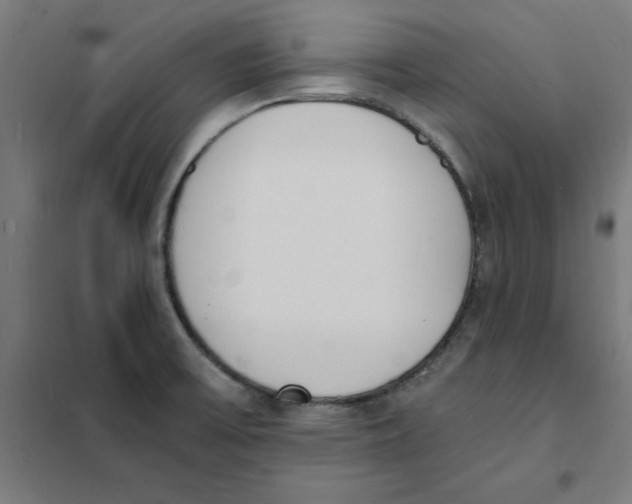 X0000101671475200808071033