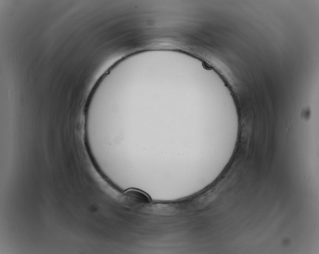 X0000101671476200808071033