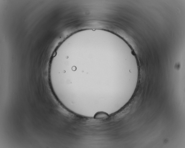X0000101671477200808071033