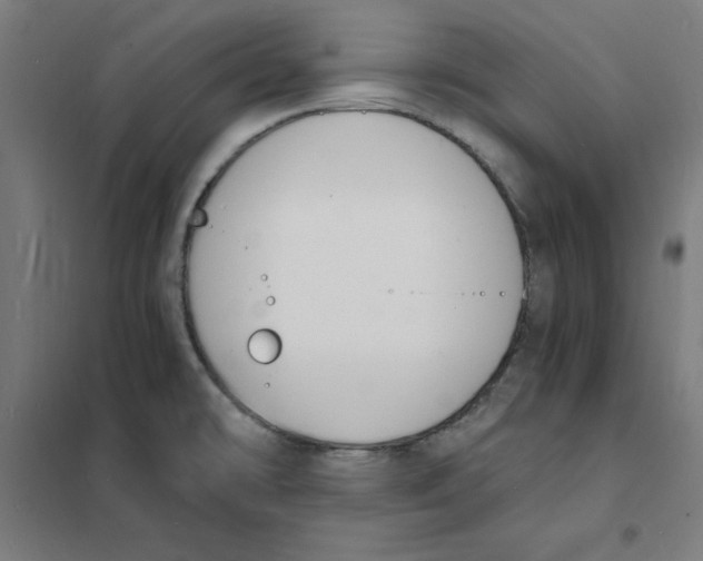 X0000101671478200808071033