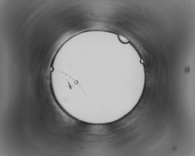 X0000101671479200808071033