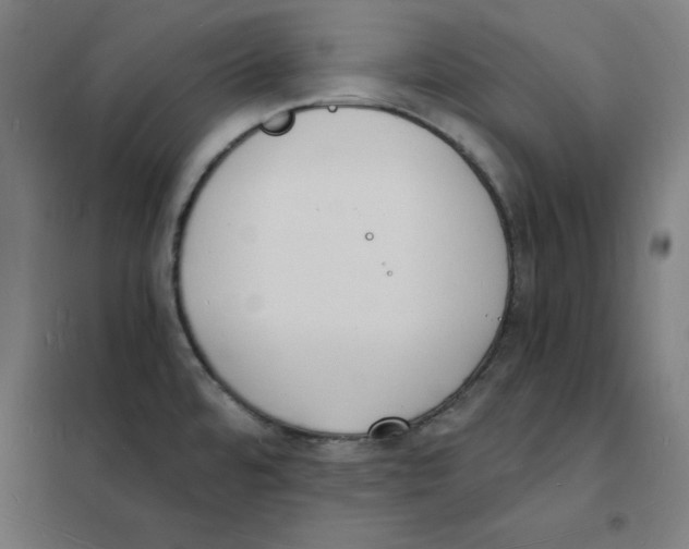 X0000101671480200808071033